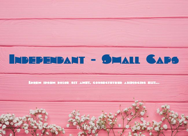 Independant - Small Caps example